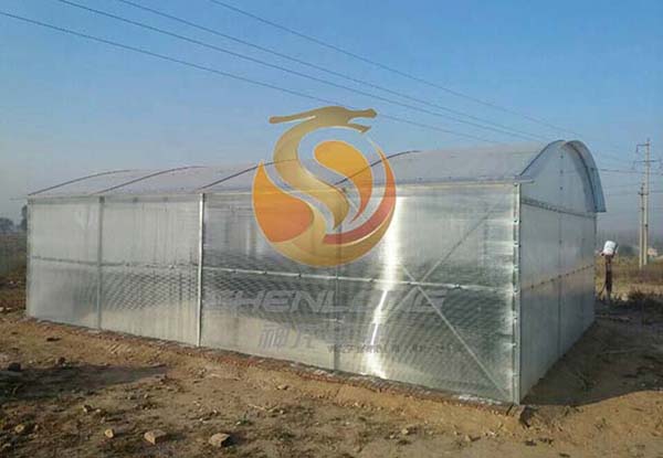 山西潞城--環境安全型溫室